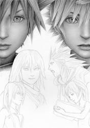 Kingdom Hearts WIP 5