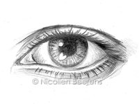 Keep your Eyes open