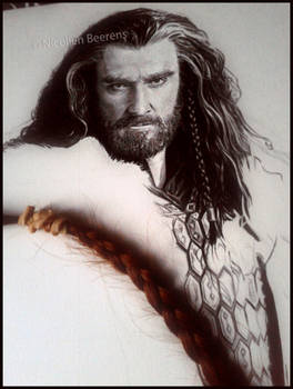 Braids and Beards - Thorin WIP