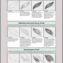 Tutorial: How to draw hair