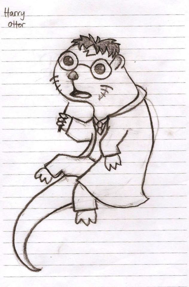 Harry Otter