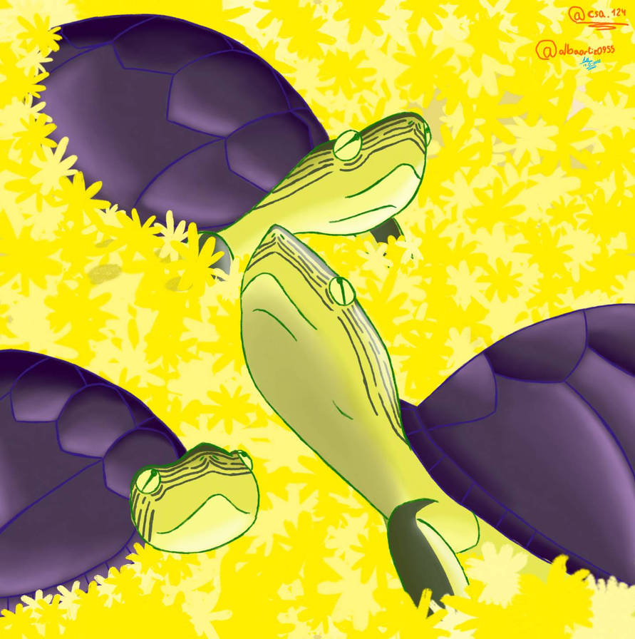 Turtles Deviantart Bongo Turtles by AlbaOrtiz0955 on DeviantArt