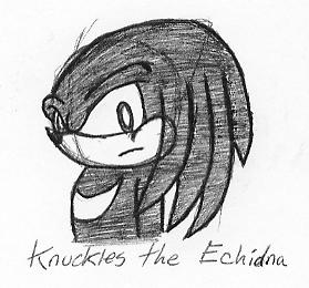 Pen Sketch- KnucklestheEchidna