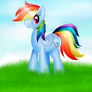 Rainbow Dash