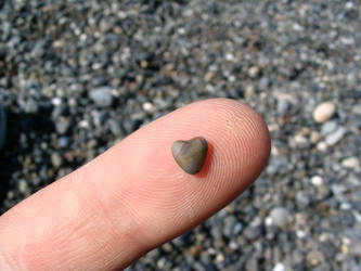 Heart-Shaped Rock