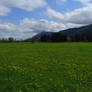 Germany - Field and Mountains