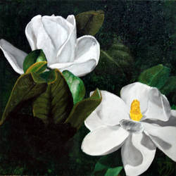Magnolias for my Mother-in-Law
