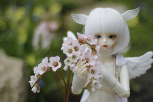 Soom Shale - flowers and wings by Kuroi-Sora