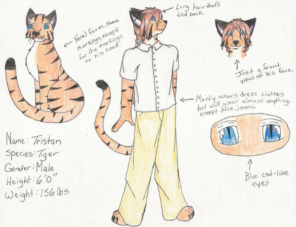 Tristan ref by MyoKitsune on DeviantArt