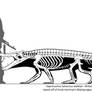 Kaprosuchus skeletal