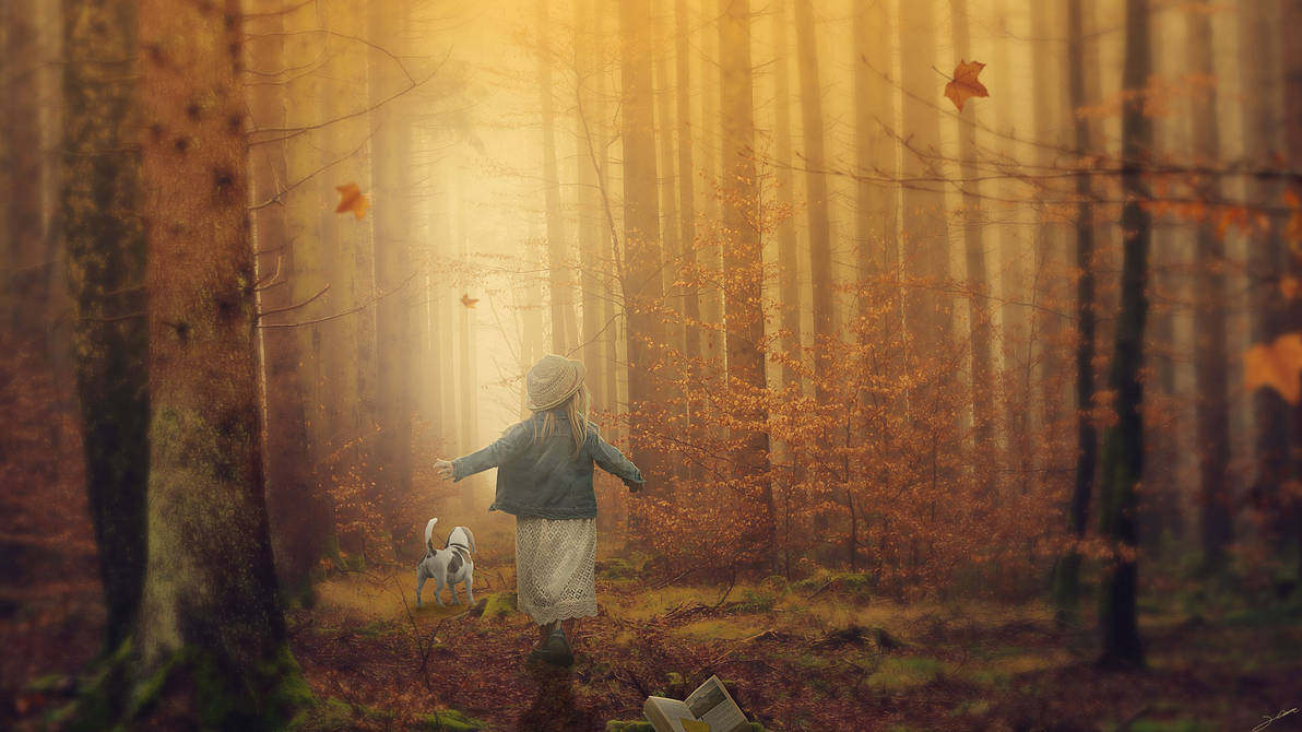 Autumn-forest by FantasyArt0102 on DeviantArt