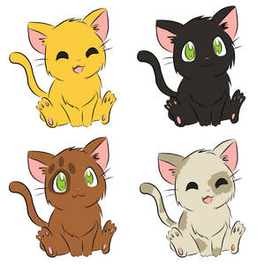 Kitten Adoptables