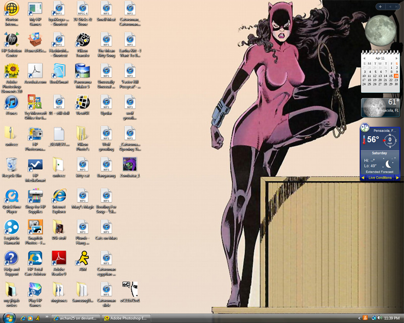 Catwoman watches my comuter