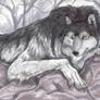 Werewolf finished