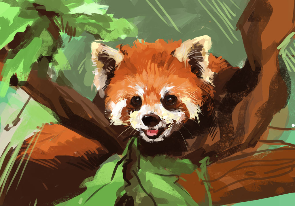 Red Panda by acorns on DeviantArt