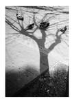 Untitled by kuvars Untitled by kuvars