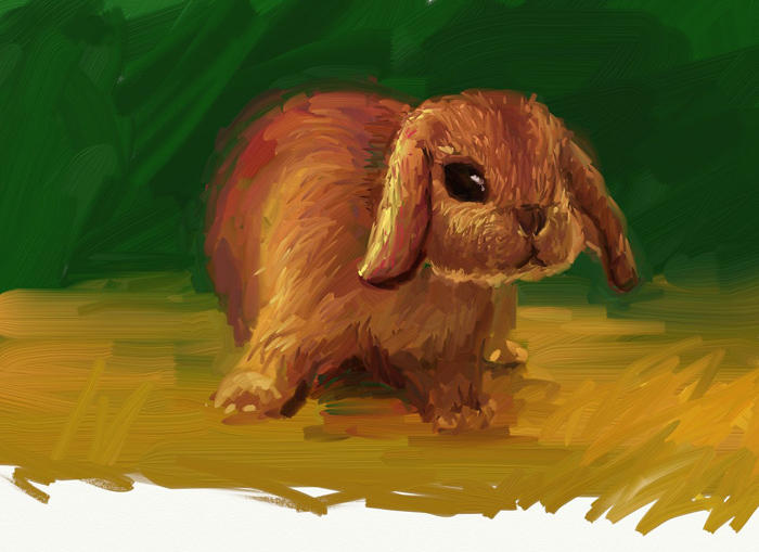 Deviantart Floppy Rabbit rabbit2 by wlywly8282 on DeviantArt