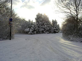 Snow Tracks