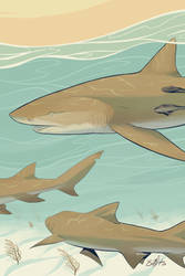 lemon shark