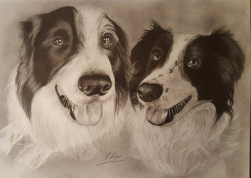 Leo and Bonnie pencil drawing