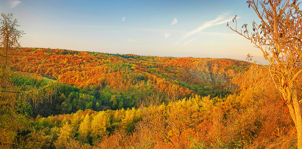Autumn Panorama