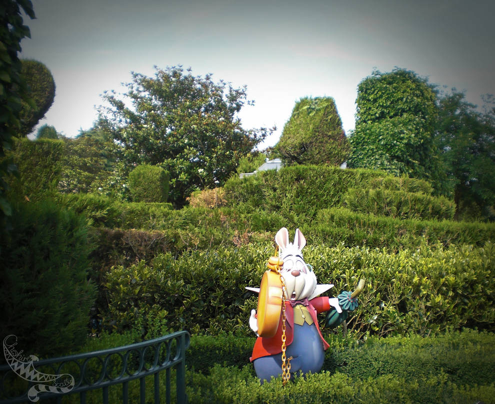 Disneyland Paris 2010 - Follow The White Rabbit by CheshireScalliArt on ...
