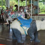 panda carousel stock