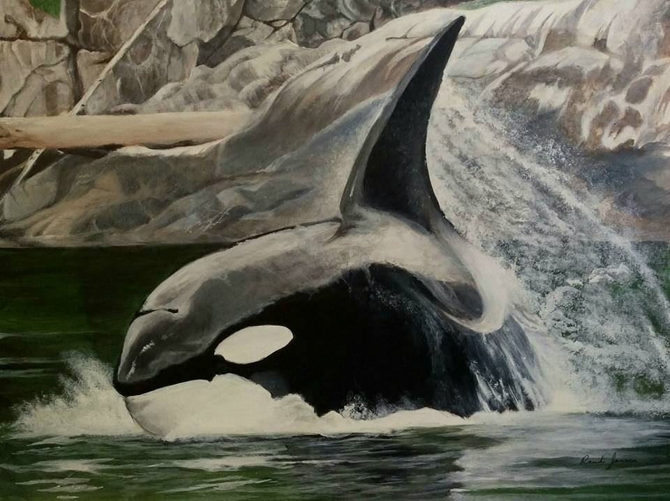 Orca