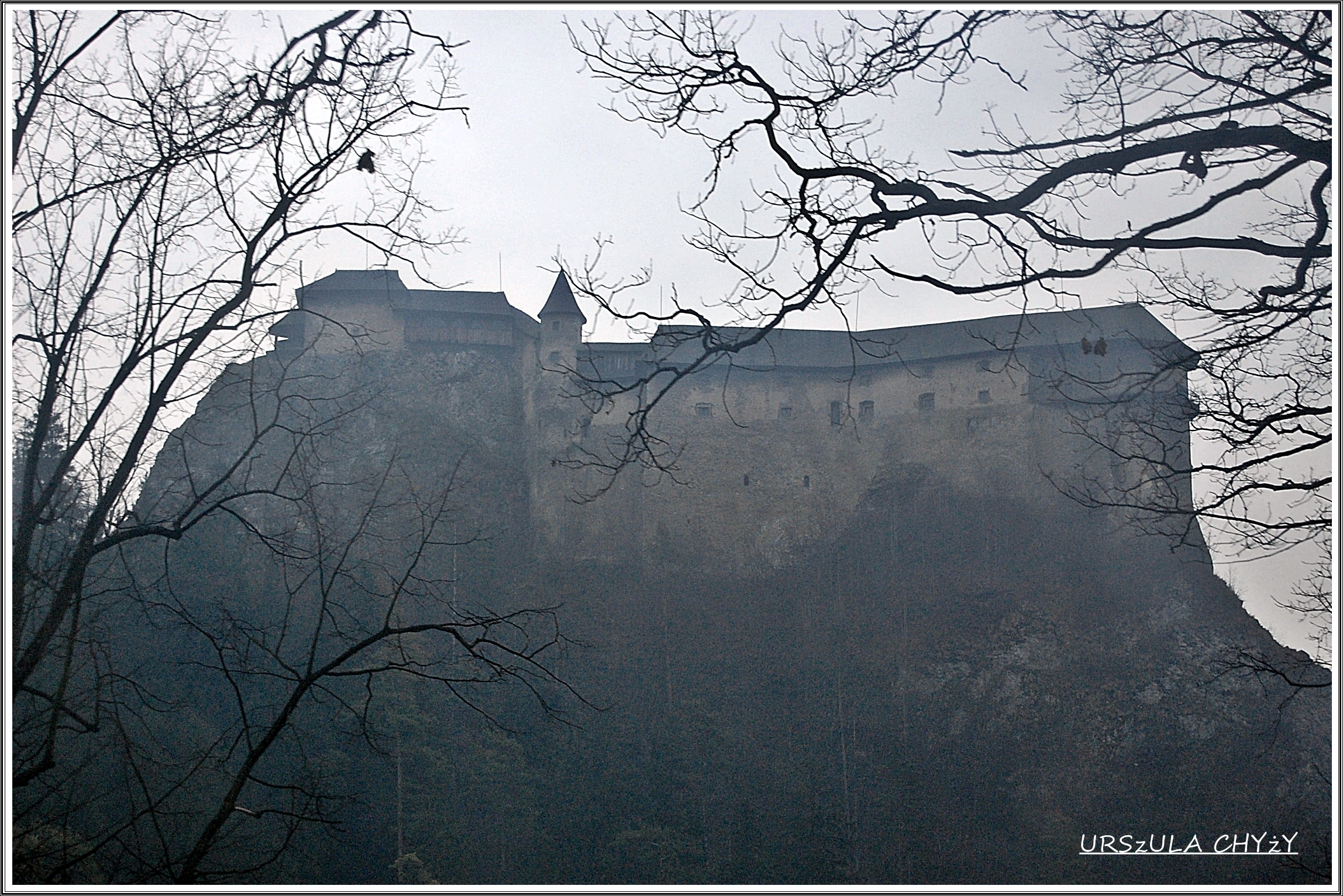 Castle in the Mist