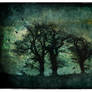 Three Trees Textured