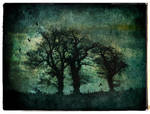 Three Trees Textured by struckdumb