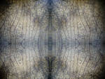 Cracked ii by struckdumb