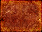 Veins iii by struckdumb