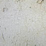 Round edge cracks.