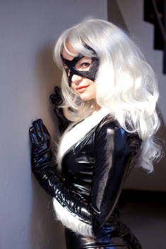 black cat 6