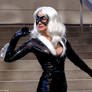 Black Cat 7