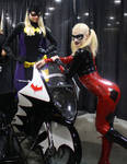 Batgirl and Harley