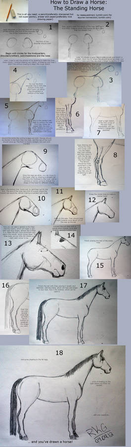 How to draw standing horse