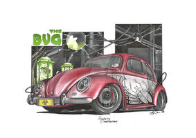 The Bug