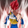 Vegeta Limit Breaker God