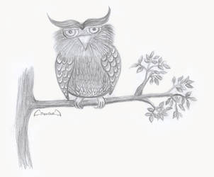OWL by sayagoth