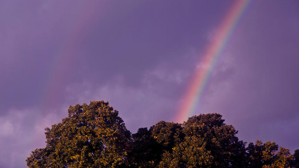 What if the sky was purple?