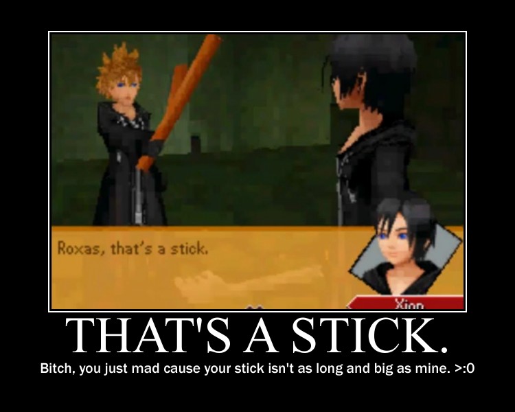 A stick? o.o