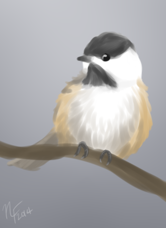 Chickadee