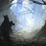 Light in the Forrest