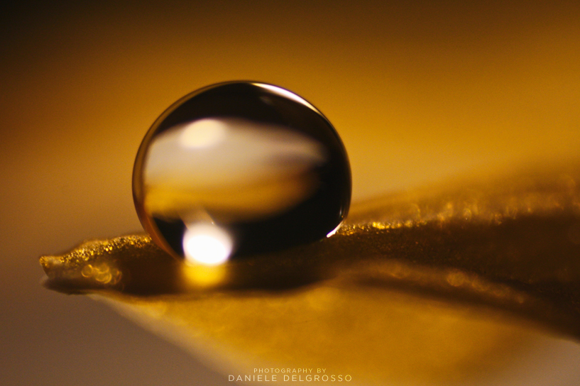 Honeydrop by dandelgrosso