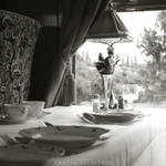 Orient by dandelgrosso