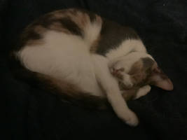 60169eb9-7982-42eb-9d77-3acec28a5e43