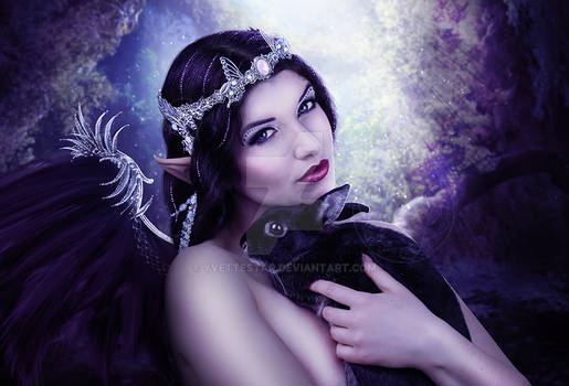 Dark Forest Fairy