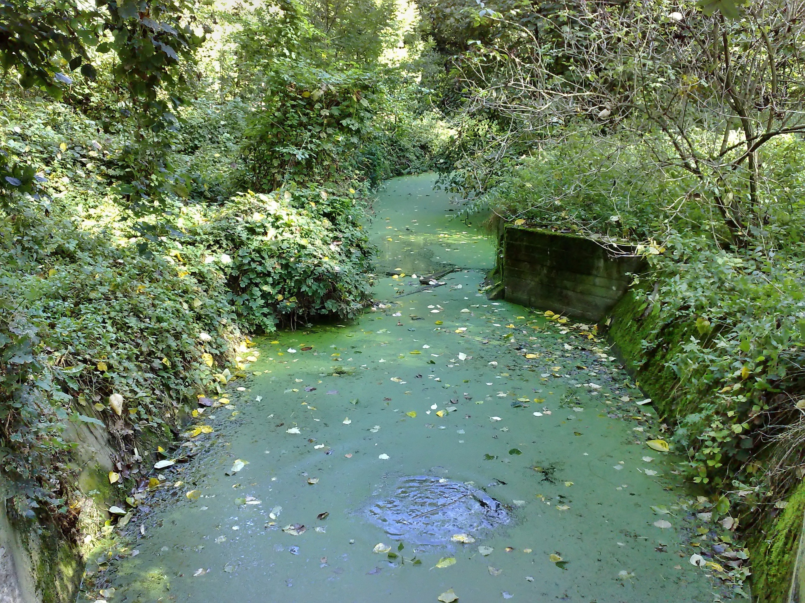 Sewer canal